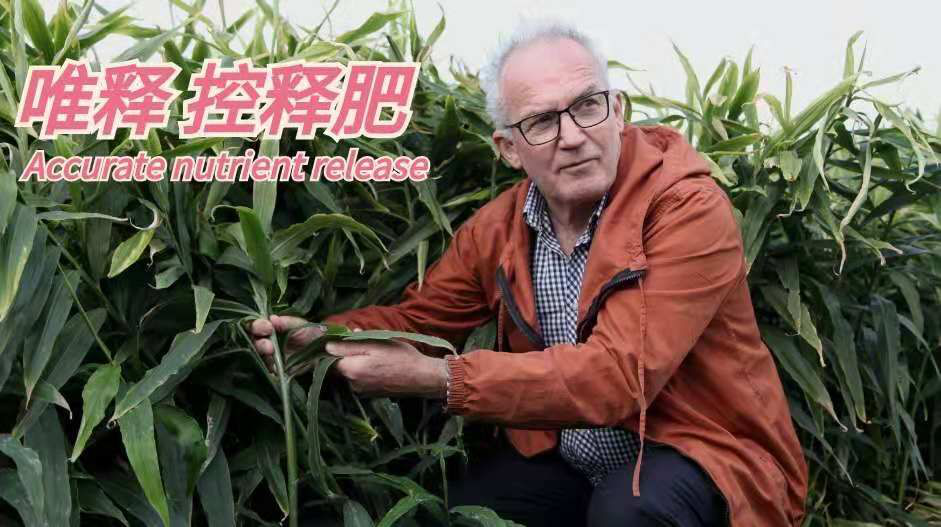 澳洲顾问.png