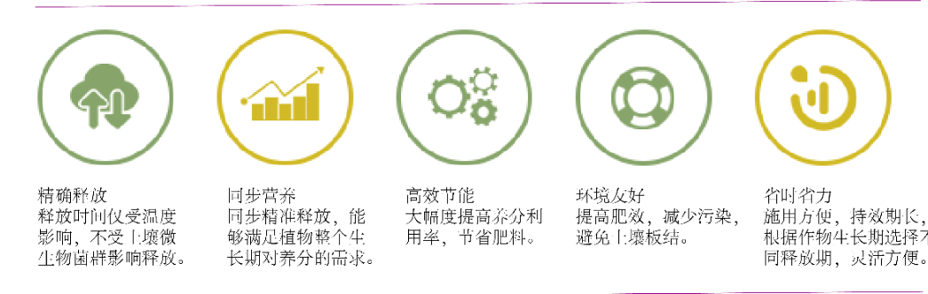 五大优点.png